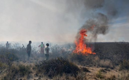 Un nuevo incendio vuelve a preocupar a la región patagónica