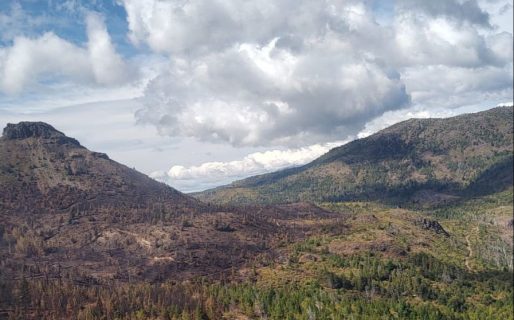 Tras un arduo operativo, brigadistas controlaron incendio en la zona de Epuyén