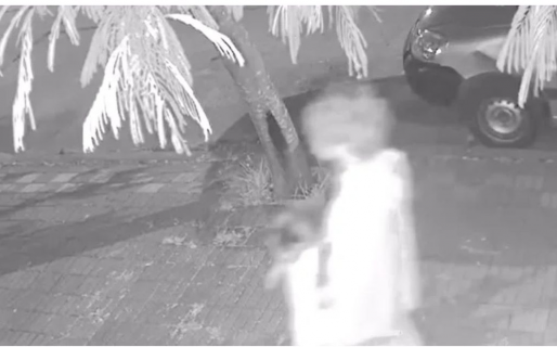 De chico le hacían bullying y hoy mata gatos y los acaricia cuando ya están fallecidos