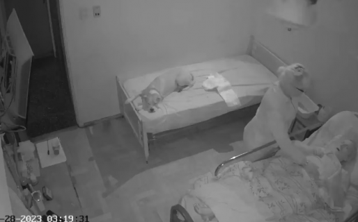 Una enfermera le robó un anillo a la jubilada que debía cuidar y al ser descubierta le echó la culpa al perro