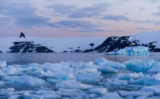 Alerta en la Antártida: hubo un record histórico de pérdida de hielo
