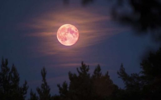 Luna rosa: De qué se trata y desde que parte de Argentina se podrá ver