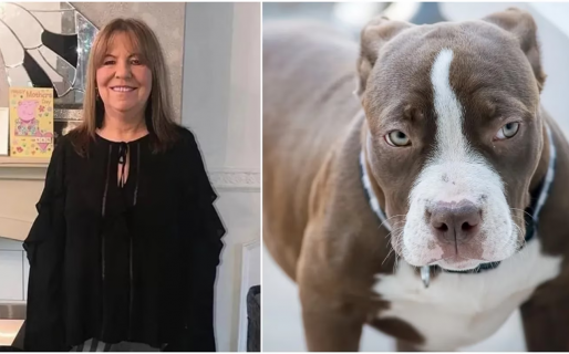 Iba a buscar a su nieto a la escuela, pero nunca apareció: la había matado el bulldog americano de su hijo