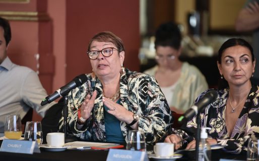 Chubut participó de un nuevo encuentro del Consejo Federal de Salud