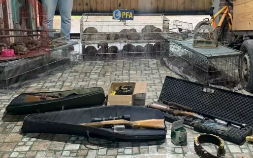 Cayó una red de tráfico de animales silvestres que operaba en varias provincias y detuvieron a 15 personas