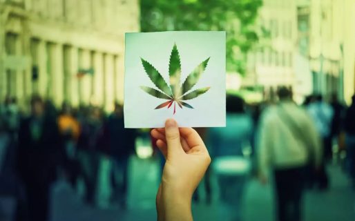 Día de la Marihuana: Porqué se celebra hoy y qué países es legal su consumo
