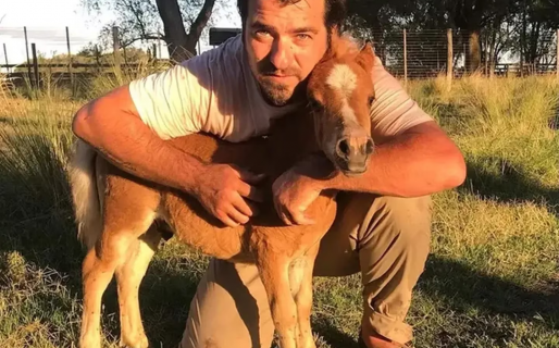 Los caballos miniatura criados en argentina lograron dos récords Guinness y se venden como mascotas