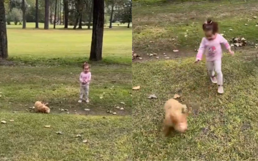 El escandaloso pedido de los fans de Gran Hermano al ver a Caramelo en un video de Romina: “Está traumado y asustado”