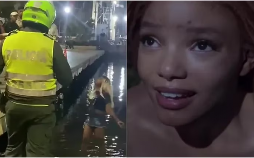 Discutió con un policía y se tiró al agua para que no la detenga: la apodaron «La Sirenita»