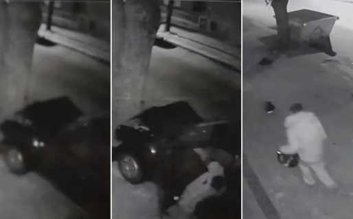 Chocó contra un árbol tras robar una camioneta e intentó escapar con el tobillo lesionado