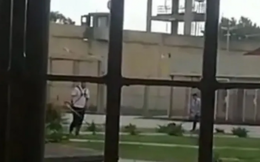Los presos se burlan de los rugbiers: los filmaron cortando el césped en la cárcel