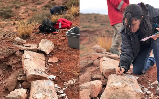 Encontraron huesos de uno de los dinosaurios más grandes que habitó la Tierra