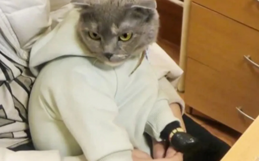 Fue arrestada por traficar drogas ocultas en la ropa de un gato disfrazado de bebé