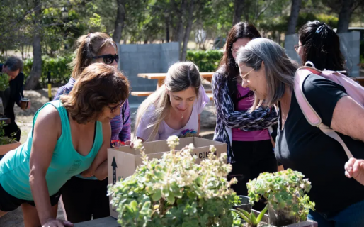 Se realizará un intercambio de plantas en el barrio Rodriguez Peña