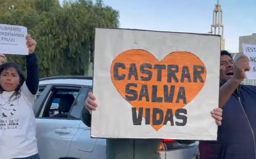 Se realizó la marcha por el «Día del Animal» y exigieron el cumplimiento de sus derechos