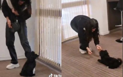 El tierno video de la perrita Mora con la hermana de Marcos de Gran Hermano