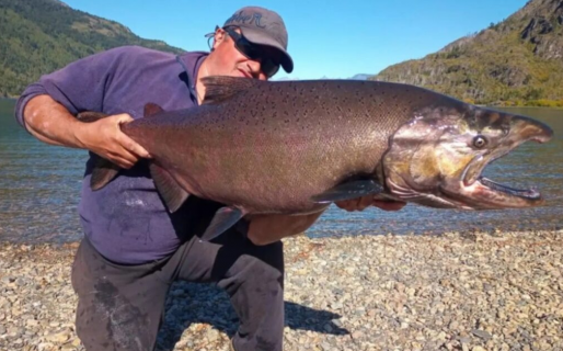 Pescaron en Chubut un salmón de 16 kilos