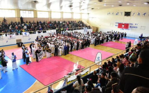Tae Kwon Do ITF: Se disputó el interprovincial “Copa Islas Malvinas”