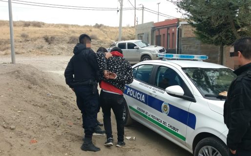 Se metió en el patio de una vivienda, la propietaria lo redujo y terminó detenido