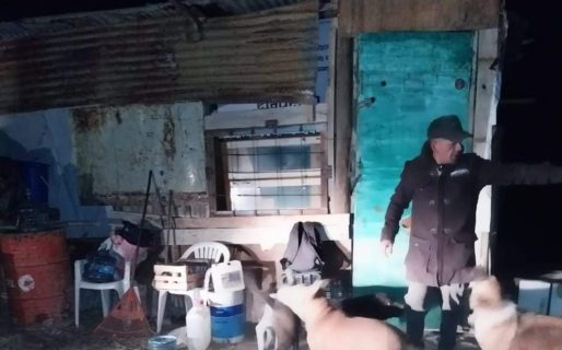 Piden ayuda para Mario, un señor que vive a la intemperie junto a sus 8 mascotas
