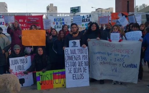 Fuerte reclamo de vecinos de Comodoro en contra del maltrato animal