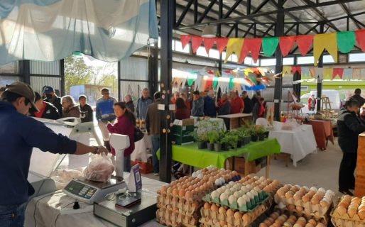 Se realizó con éxito una nueva edición de la Feria de la Estepa en Km 17