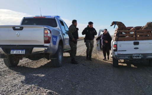 Cazaban con cinco galgos en un campo ajeno sin permiso del dueño
