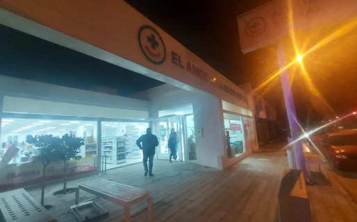 Dos mujeres fueron detenidas luego de intentar robar en dos comercios de zona sur