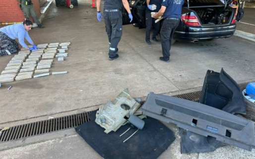 Un perro detectó más de 40 kilos de cannabis en la Triple Frontera