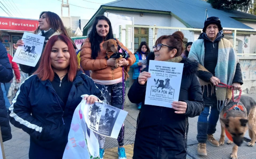 Se llevó a cabo una nueva marcha por los actos de maltrato animal en Comodoro