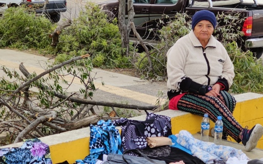 A sus 67 años sigue trabajando porque la jubilación no alcanza: “Si no se vende, no se come”