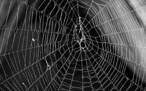 Se mudaron a la casa de sus sueños, pero todo salió mal: una grieta se abrió y las arañas invadieron una habitación