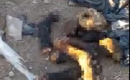 Vecinos de Km 18 denuncian que faenan caballos y arrojan los restos en un basurero clandestino