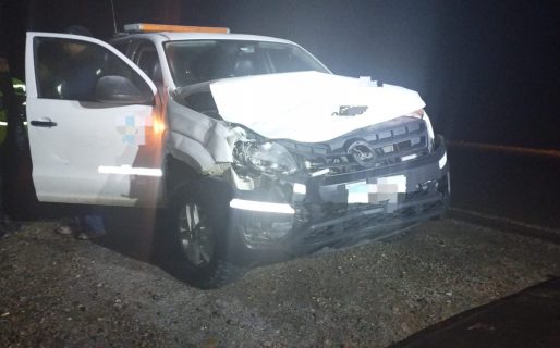 Una camioneta impactó a un caballo en Ruta 26