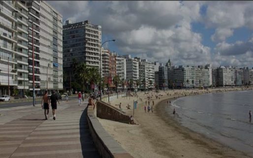 Éxodo de profesionales: casi un tercio de los pedidos de reválida de títulos en Uruguay son de argentinos