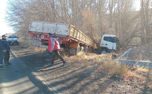 Un camión perdió el control y despistó sobre Ruta N3