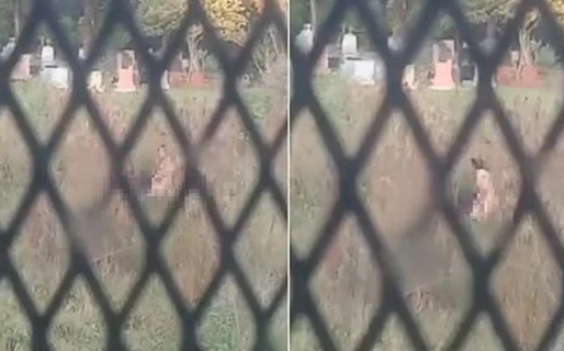 Una pareja fue descubierta teniendo sexo a metros de las tumbas de un cementerio
