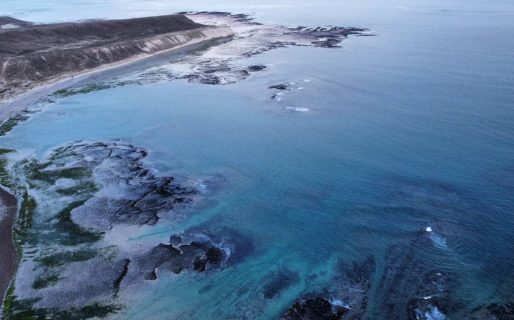 Se realizará un panel virtual de divulgación para celebrar el Día de los Océanos