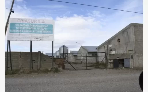 Encuentran en la Patagonia a un hombre que llevaba 20 años desaparecido