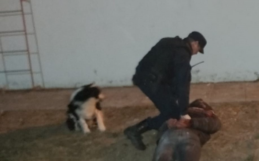 Un joven quedó detenido al intentar robar el Mini Hospital de Laprida