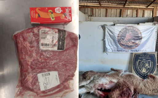 Crecen los hurtos de alimentos en supermercados y la caza de animales para consumo familiar