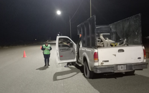 Transportaban ilegalmente carne equina y fueron demorados