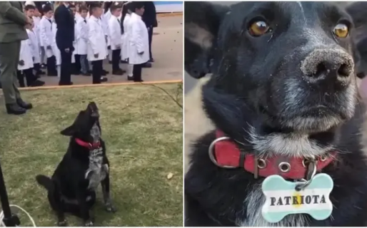 «Patriota», el perro que entonó junto a los alumnos el Himno