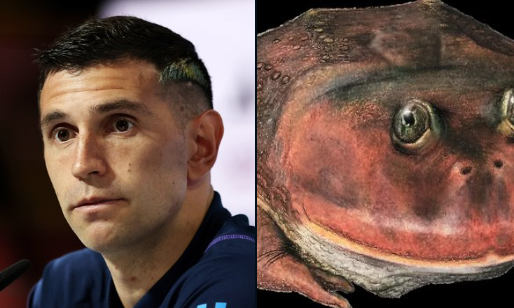 Paleontólogos descubrieron una rana prehistórica y la nombraron “Dibu Martínez”