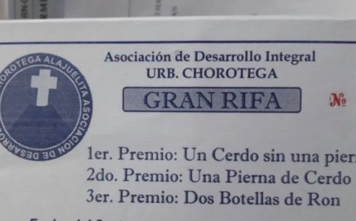 Sortearon un cerdo sin una pierna porque esa parte era el segundo premio