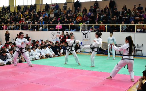 Se disputó el III Torneo Regional Copa “Día de la Bandera”