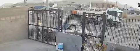 Vecinos de Km5 alertan sobre perros «muy peligrosos» sueltos por el barrio