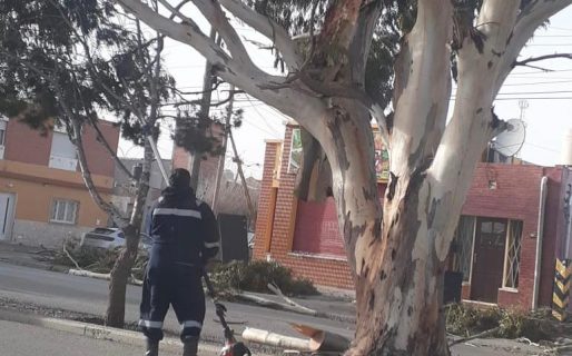 Linares sobre el temporal: “La Municipalidad demostró estar a la altura de la situación”