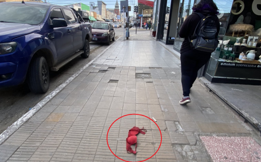 El viento voló todo menos los recuerdos que ella dejó en tu mente