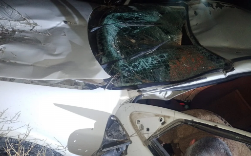 Se le atravesó un caballo en la Ruta 3, lo chocó y terminó volcado con su auto